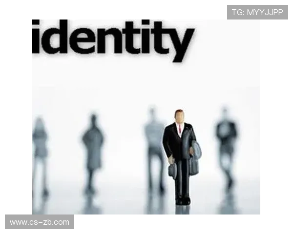 以斯蒂芬斯为中心探讨现代文学中的身份认同与文化冲突问题